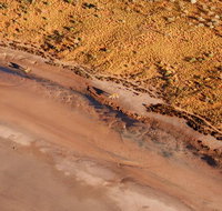 Scenic Flight Lizard Safari - Sydney Tourism