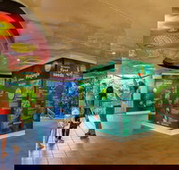 Skyrail  Kuranda Train Day Trip from Cairns - Sydney Tourism