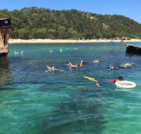 All Inclusive Dolphin and Tangalooma Wrecks Cruise - Sydney Tourism