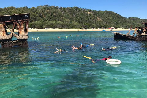 All Inclusive Dolphin And Tangalooma Wrecks Cruise - Sydney Tourism 0