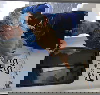 3/4 Day 7 Hour Offshore Fishing Charter - Sydney Tourism