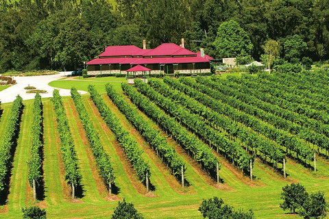 O'Reilly's & Lamington National Park From Brisbane - Sydney Tourism 2