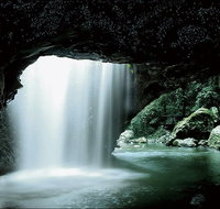 Natural Bridge Glow Worm Night Tour from Gold Coast