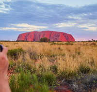 Uluru Ayers Rock Sunset with Outback Barbecue Dinner and Star Tour - Sydney Tourism