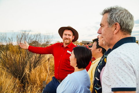 Uluru (Ayers Rock) Sunset With Outback Barbecue Dinner And Star Tour - Sydney Tourism 3