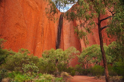 Uluru Sunrise And Guided Base Walk - Sydney Tourism 3