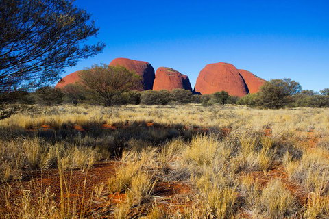 Kata Tjuta Sunrise And Valley Of The Winds Half-Day Trip - Sydney Tourism 1
