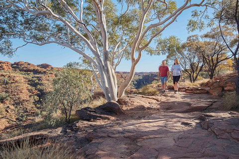 3-Day Tour From Uluru (Ayers Rock) To Alice Springs Via Kings Canyon - Sydney Tourism 1