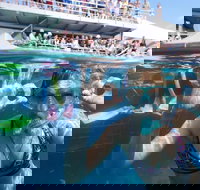 Great Barrier Reef Day Cruise from Cairns Including Snorkeling and Marine Biologist Presentation - Sydney Tourism