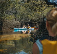 Kayak Tour in Adelaide Dolphin Sanctuary