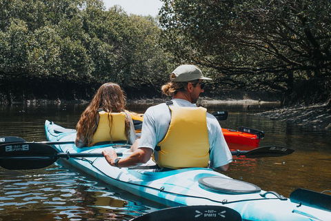 Kayak Tour In Adelaide Dolphin Sanctuary - Sydney Tourism 2