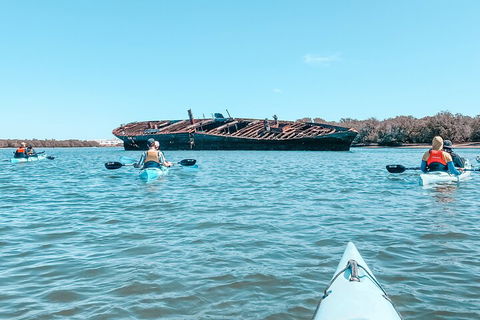 Kayak Tour In Adelaide Dolphin Sanctuary - Sydney Tourism 3