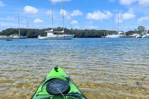Kayak Tour In Adelaide Dolphin Sanctuary - Sydney Tourism 4