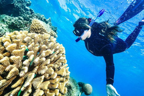 Green Island Day Trip From Cairns - Sydney Tourism 1