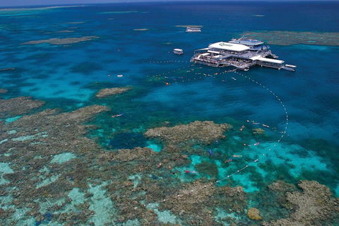 Ultimate 3-Day Great Barrier Reef Cruise Pass - Sydney Tourism 3