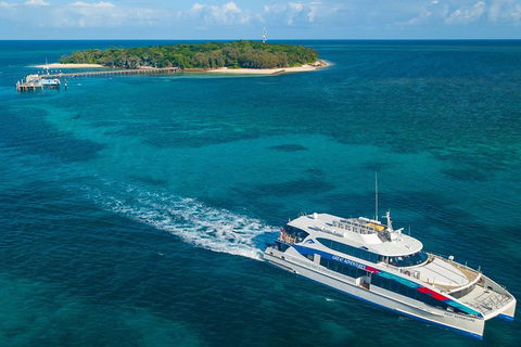 Ultimate 3-Day Great Barrier Reef Cruise Pass - Sydney Tourism 4
