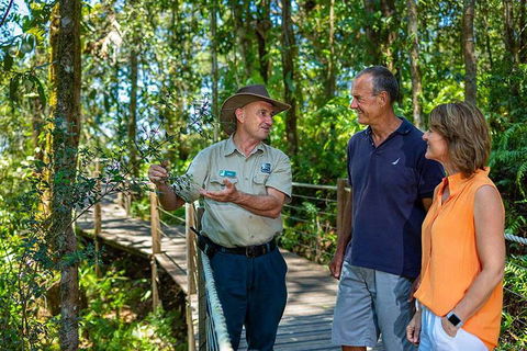 Kuranda Scenic Railway Day Trip From Cairns - Sydney Tourism 1