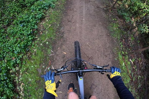 Explore Downhill Mountain In 3-Hour Bike Tour From Hobart - Sydney Tourism 2