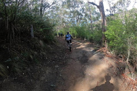 Explore Downhill Mountain In 3-Hour Bike Tour From Hobart - Sydney Tourism 3