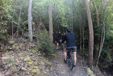 Explore Downhill Mountain In 3-Hour Bike Tour From Hobart - Sydney Tourism 4