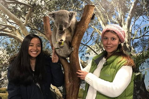 Australia Multi-City Attractions Pass - Sydney Tourism 3