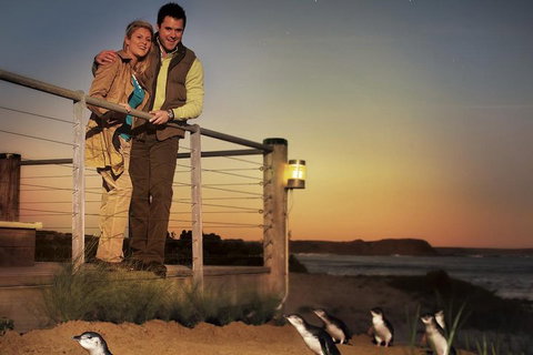 The Ultimate Melbourne Attractions Pass - Sydney Tourism 3