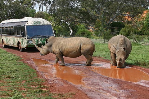 The Ultimate Melbourne Attractions Pass - Sydney Tourism 4