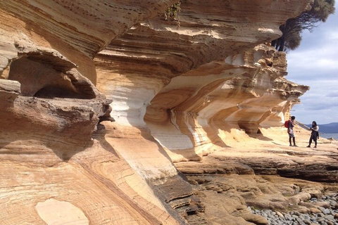 Hobart Minibus Full-Day Private Tour - Sydney Tourism 0