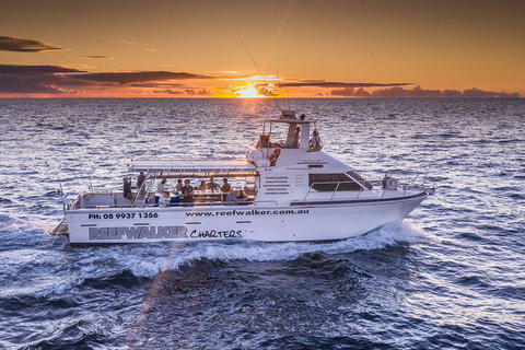 Kalbarri Sunset Coastal Cliff Cruise - Sydney Tourism 2