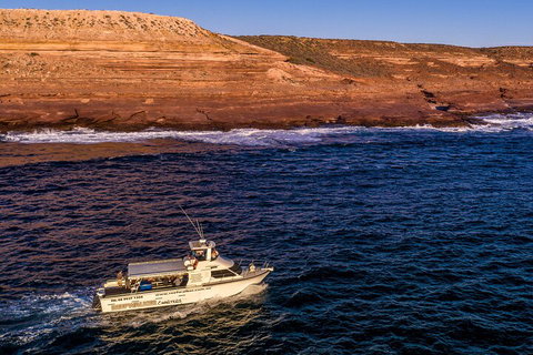 Kalbarri Sunset Coastal Cliff Cruise - Sydney Tourism 4