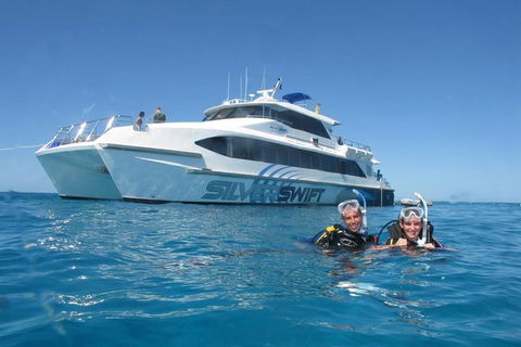Silverswift Outer Great Barrier Reef Dive And Snorkel Cruise From Cairns - Sydney Tourism 4