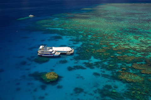 Great Barrier Reef Adventure From Cairns - Sydney Tourism 4