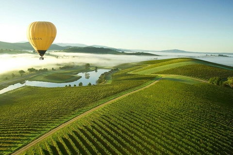 Half-Day Or Full-Day Tour With Private Guide From Melbourne - Sydney Tourism 4