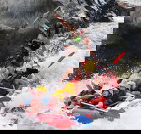 Barron Gorge National Park Half-Day White Water Rafting from Cairns or Port Douglas - Sydney Tourism