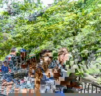 Cape Tribulation Mossman Gorge and Daintree Rainforest Day Trip from Cairns or Port Douglas - Sydney Tourism