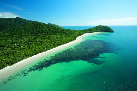 Cape Tribulation, Mossman Gorge, And Daintree Rainforest Day Trip From Cairns Or Port Douglas - Sydney Tourism 2