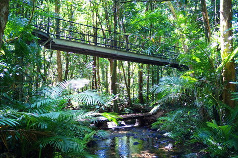 Cape Tribulation, Mossman Gorge, And Daintree Rainforest Day Trip From Cairns Or Port Douglas - Sydney Tourism 3