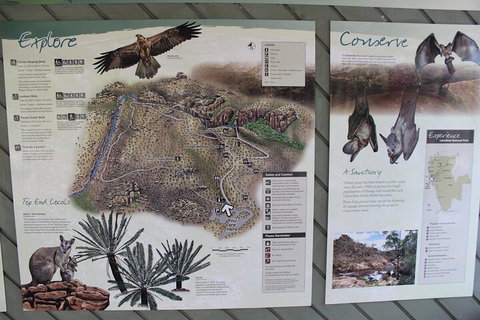 Jumping Crocodile Cruise And Berry Springs Nature Park - Sydney Tourism 2