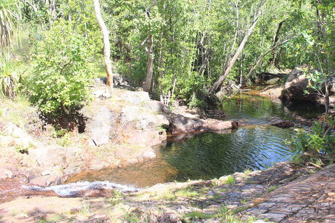 Jumping Crocodile Cruise And Berry Springs Nature Park - Sydney Tourism 3