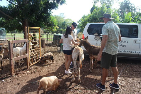 Jumping Crocodile Cruise And Berry Springs Nature Park - Sydney Tourism 4