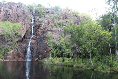 Jumping Crocodile Cruise And Berry Springs Nature Park - Sydney Tourism 5
