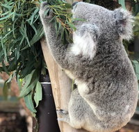 Private Blue Mountains and Wildlife Park Tour from Sydney with Barbecue Lunch - Sydney Tourism