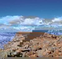 4 Day Tour Albany Margaret River Valley of the Giants TreeTop Walk from Perth - Sydney Tourism