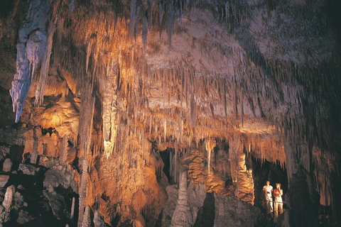 4 Day Tour: Albany, Margaret River, Valley Of The Giants TreeTop Walk From Perth - Sydney Tourism 1