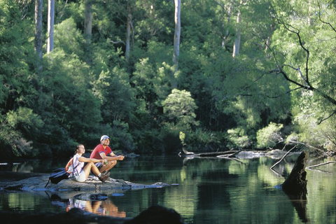 4 Day Tour: Albany, Margaret River, Valley Of The Giants TreeTop Walk From Perth - Sydney Tourism 3