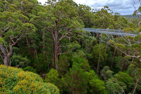4 Day Tour: Albany, Margaret River, Valley Of The Giants TreeTop Walk From Perth - Sydney Tourism 4