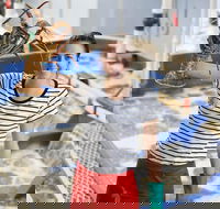 Pinnacles Desert Koalas and Sandboarding 4WD Day Tour from Perth - Sydney Tourism