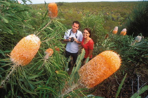Best Of Perth Wildflower Season Day Trip - Sydney Tourism 0
