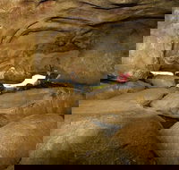 2-Day Wave Rock York Wildflowers  Aboriginal Experience - Sydney Tourism