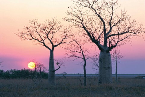 8-Day Outback Experience From Queensland - Sydney Tourism 5